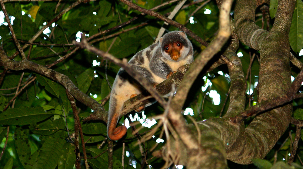 Aketajawe-Lalobata National Park