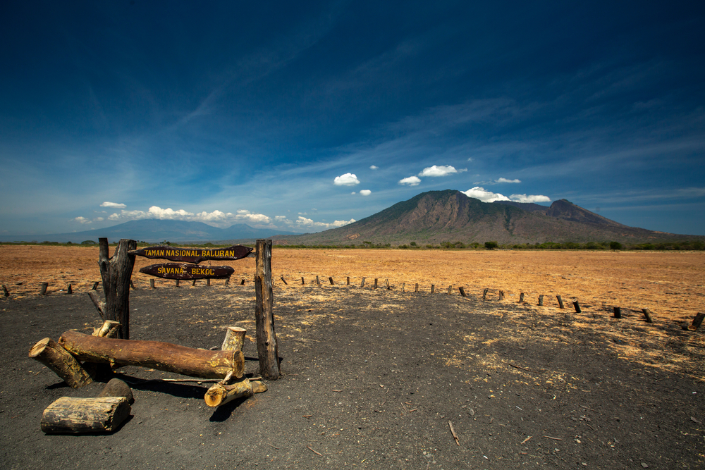 Baluran National Park