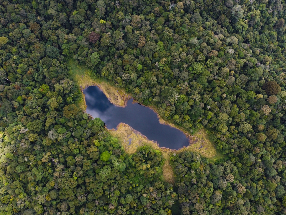 Batang Gadis National Park