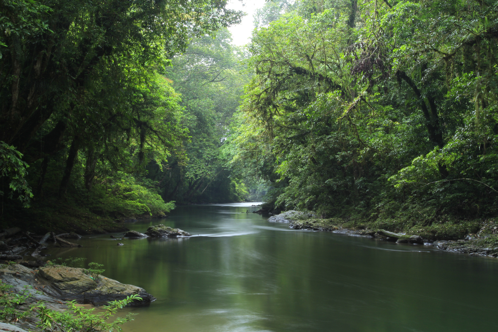 Betung Kerihun National Park