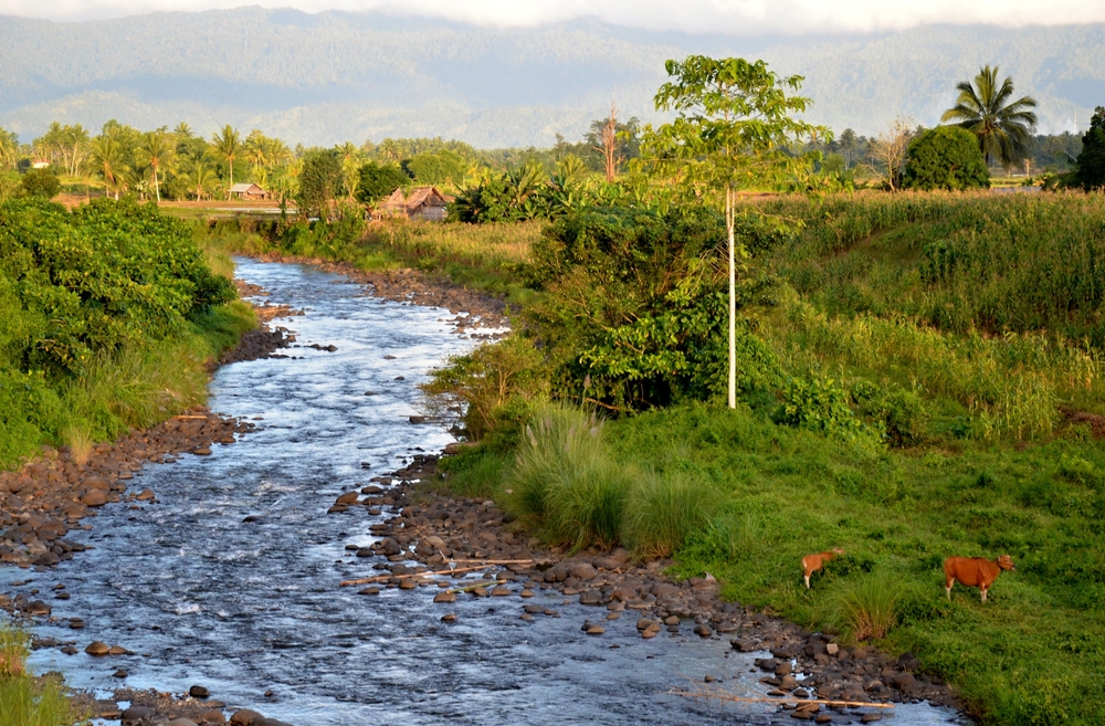 Bogani Nani Wartabone National Park