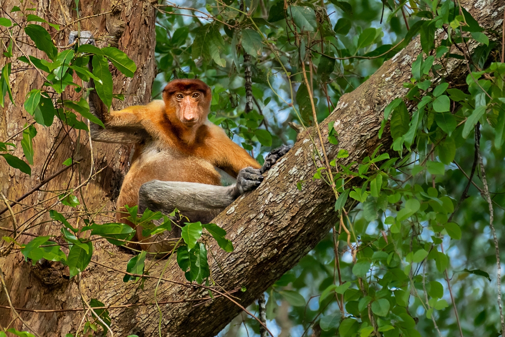 Bruit Island National Park