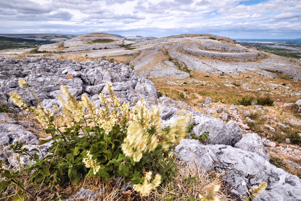 Burren National Park