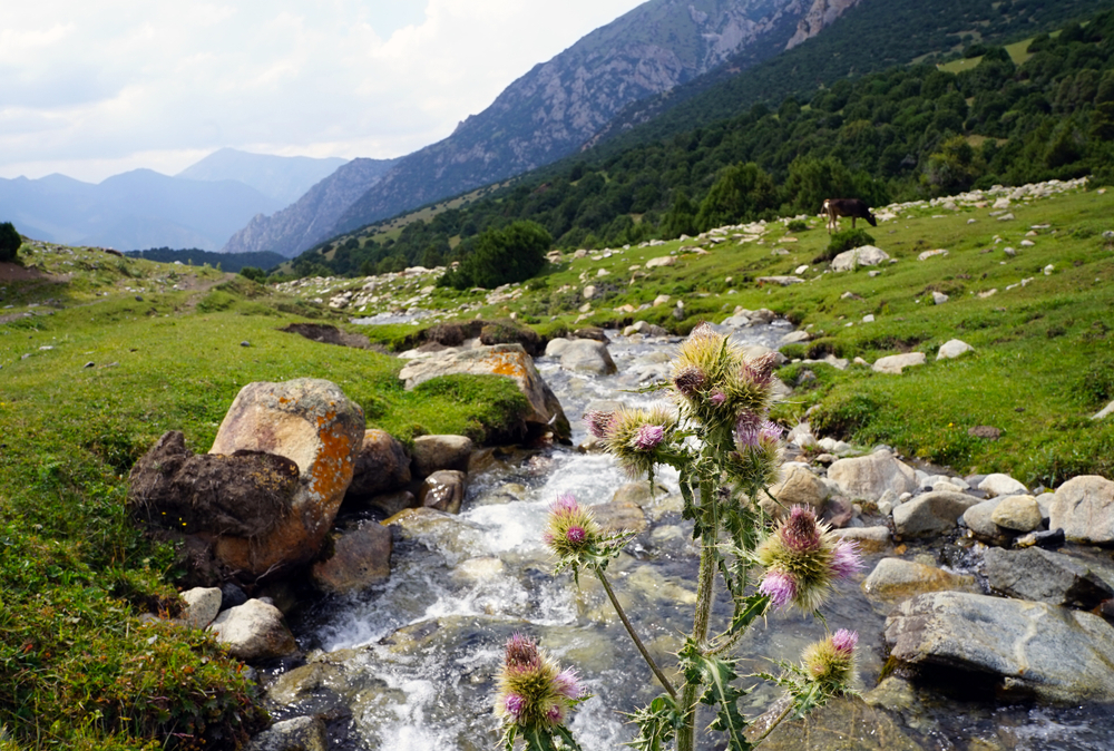 Kyrgyz-Ata Nature Park