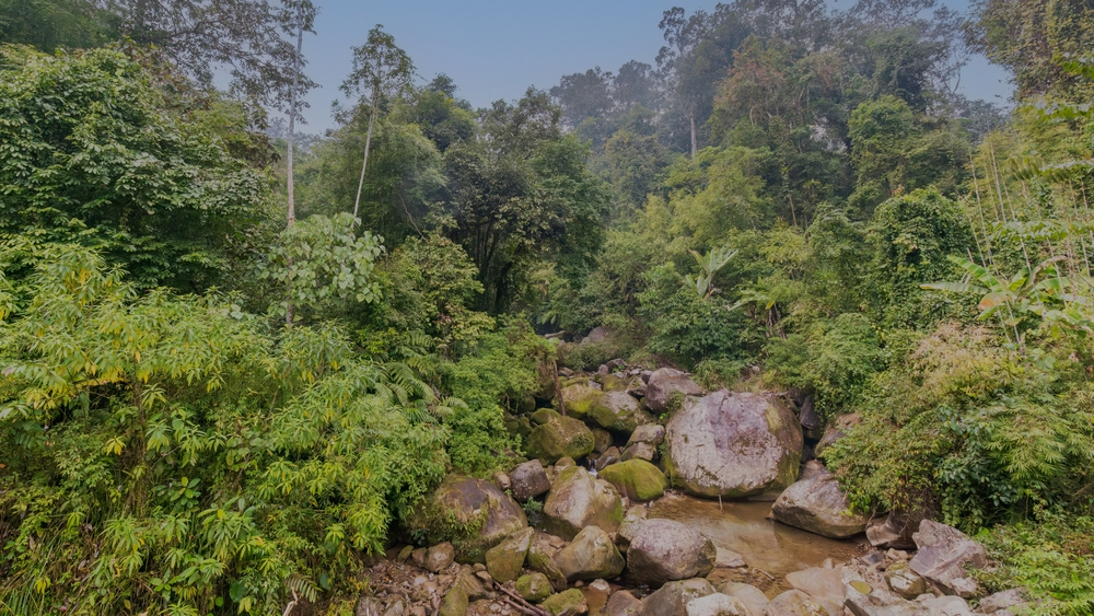 Namdapha National Park