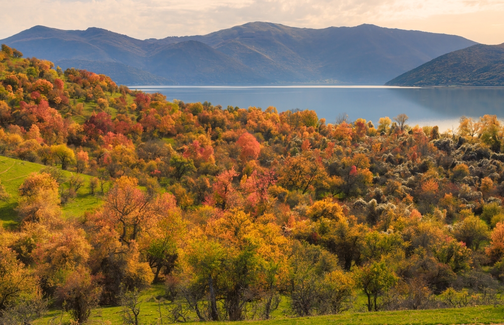 Prespa National Park