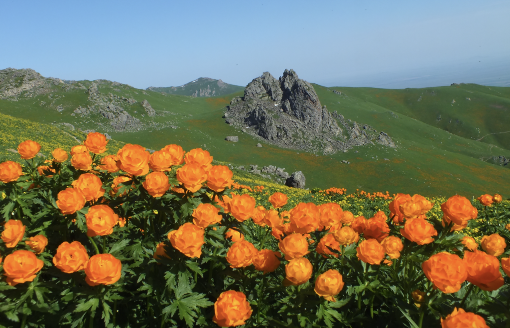 Tarbagatai National Park
