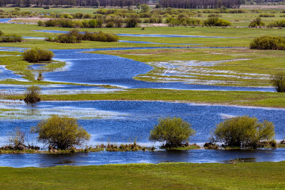 Biebrza National Park