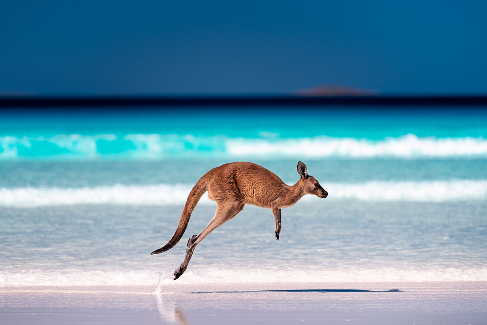 Cape Le Grand National Park