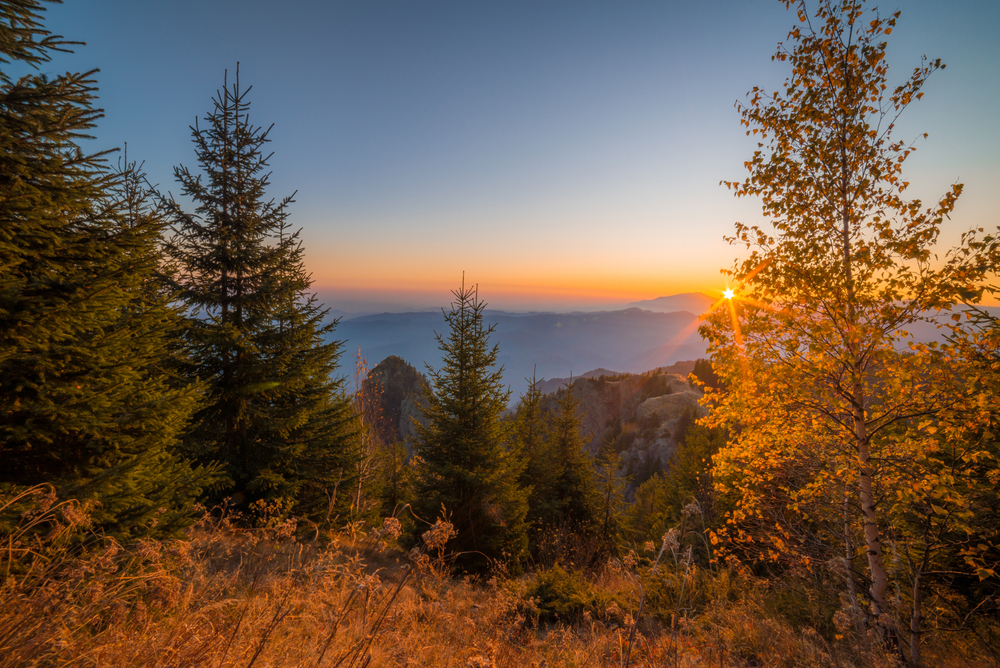 Cozia National Park