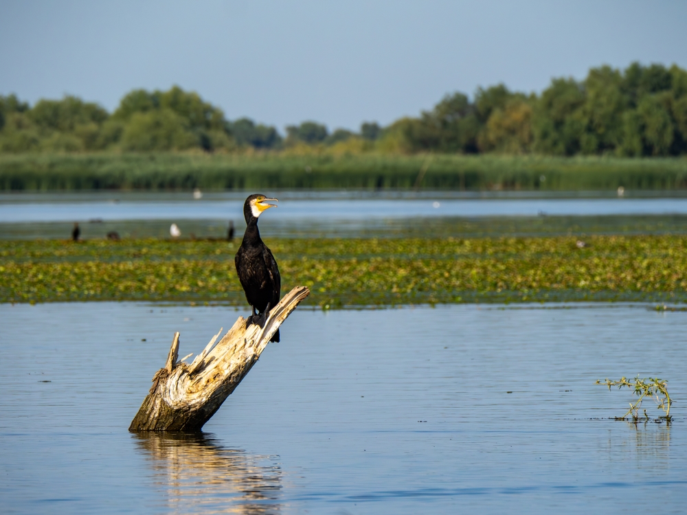 Danube Delta National Park,