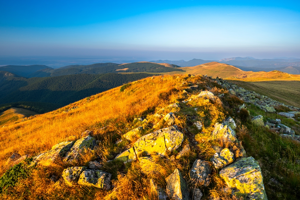 Defileul Jiului National Park