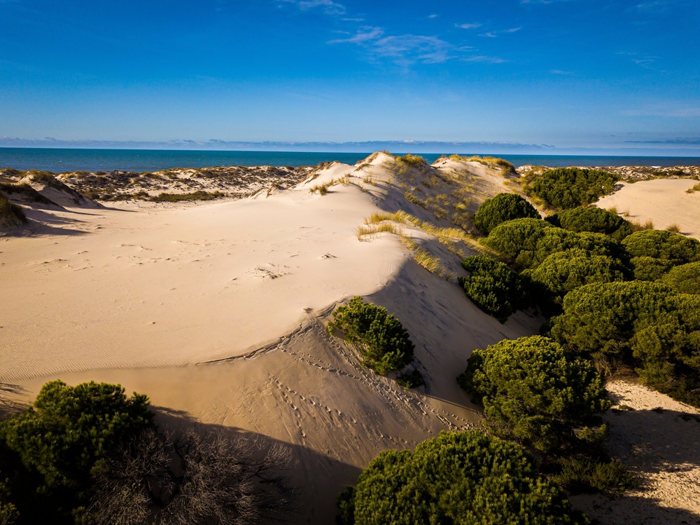 Donana National Park