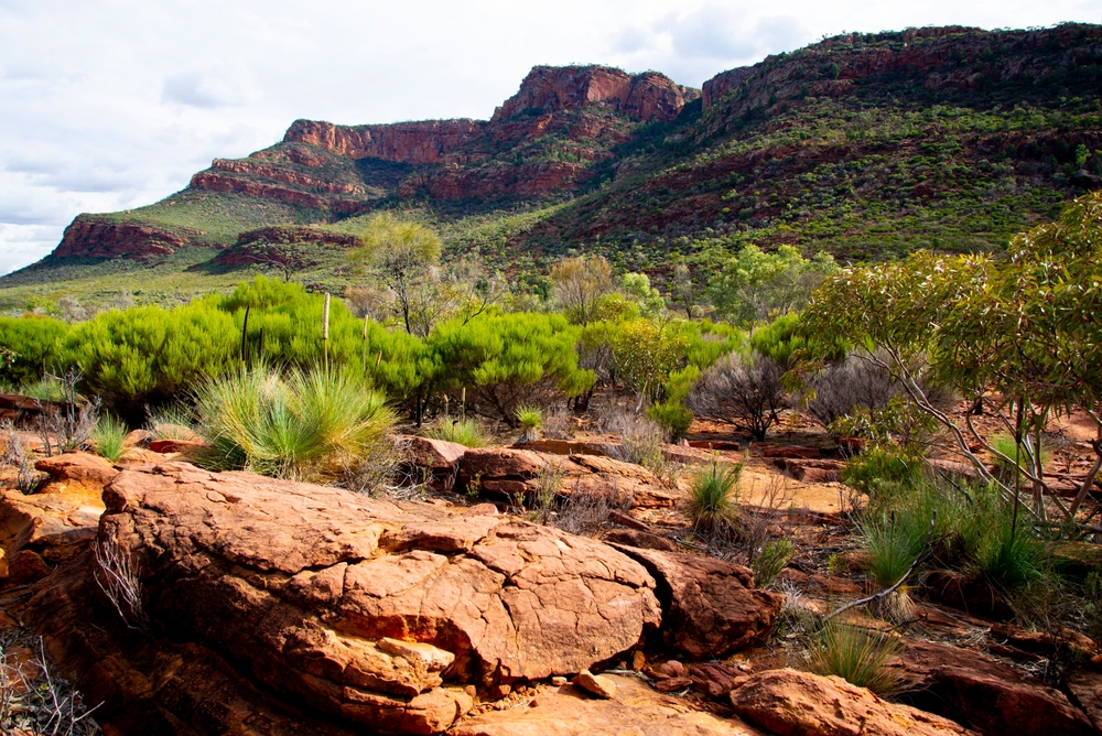 Flinders Ranges National Park