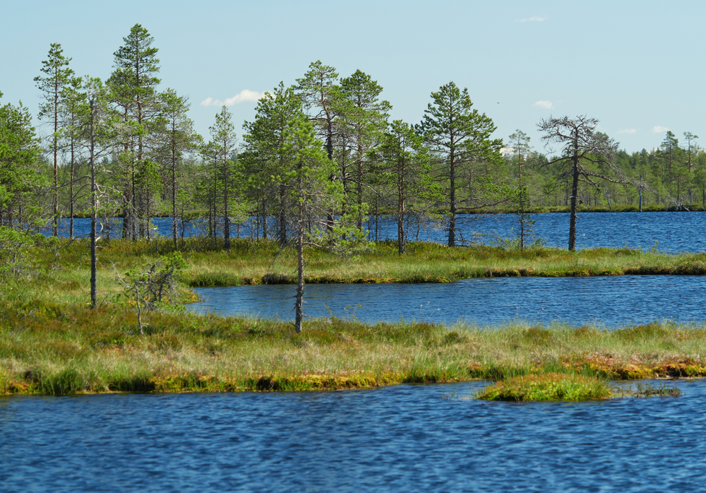 Kauhaneva-Pohjankangas National Park