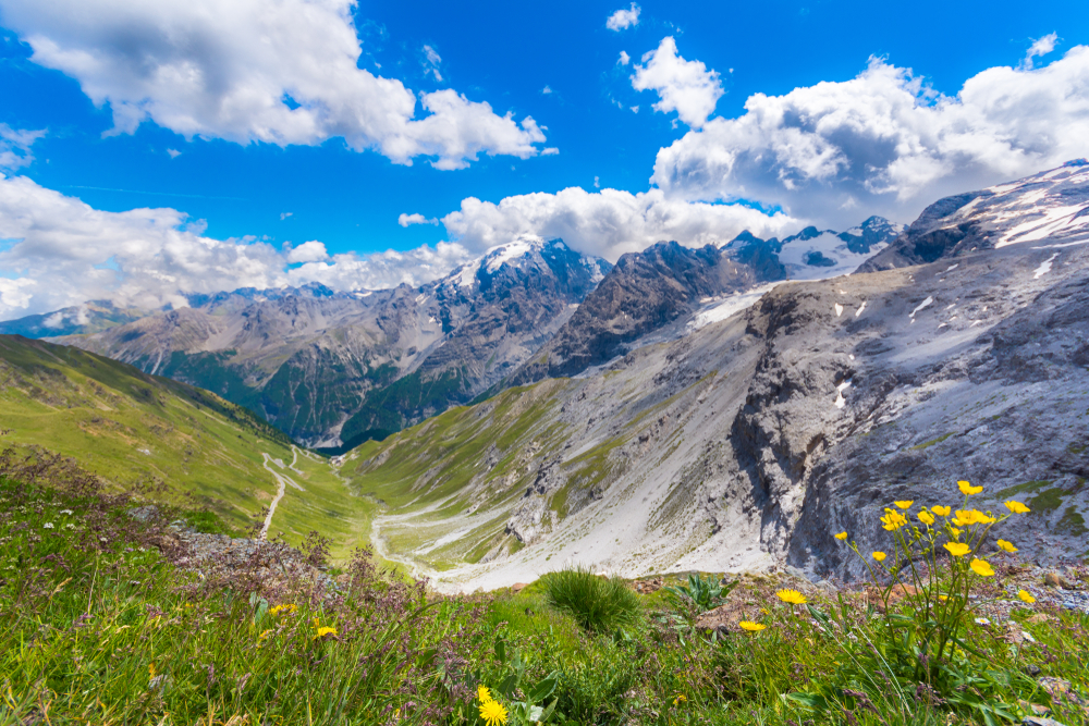 Stelvio National Park