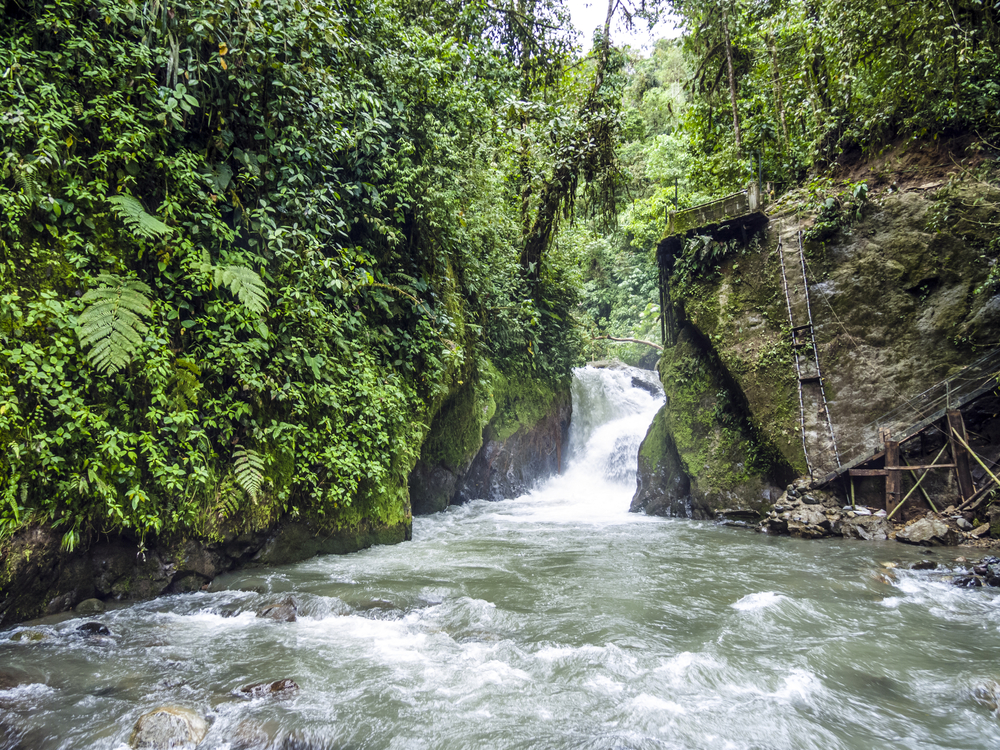 Sumaco Napo-Galeras National Park