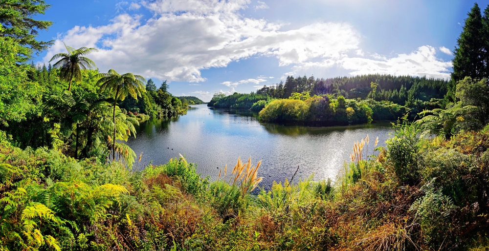 Whanganui National Park