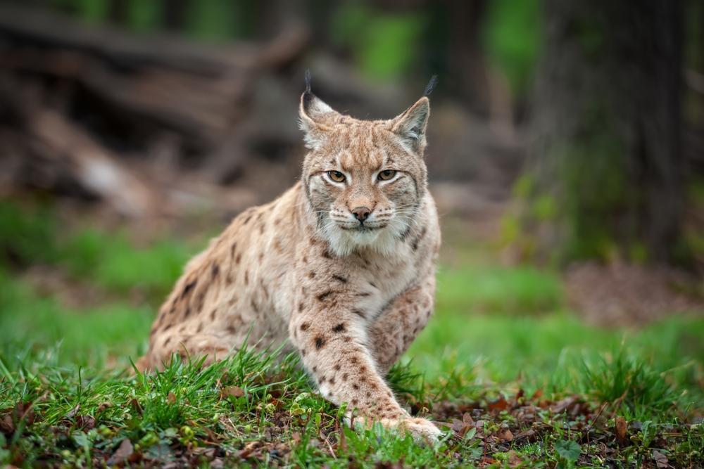 Aladağlar National Park