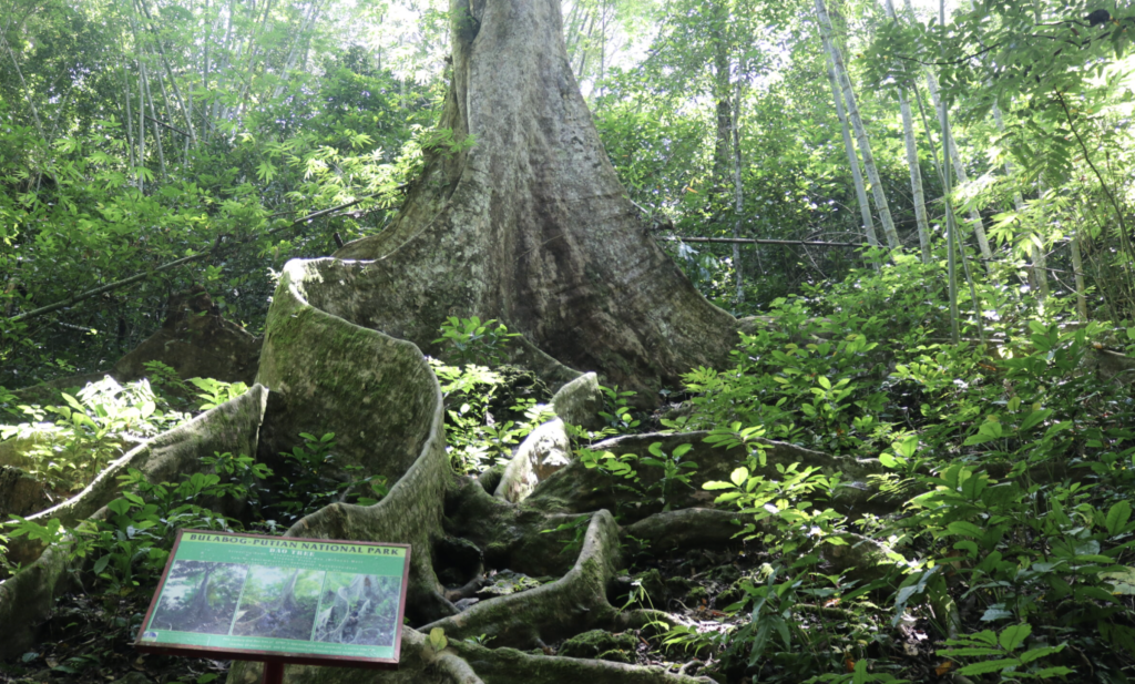 Bulabog Putian National Park