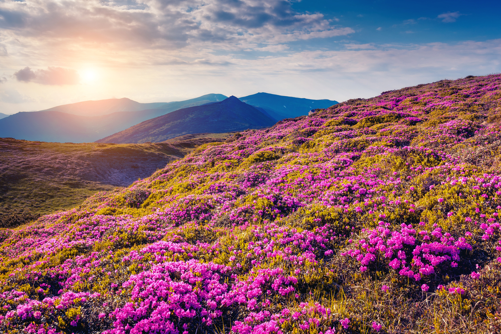Carpathian National Park