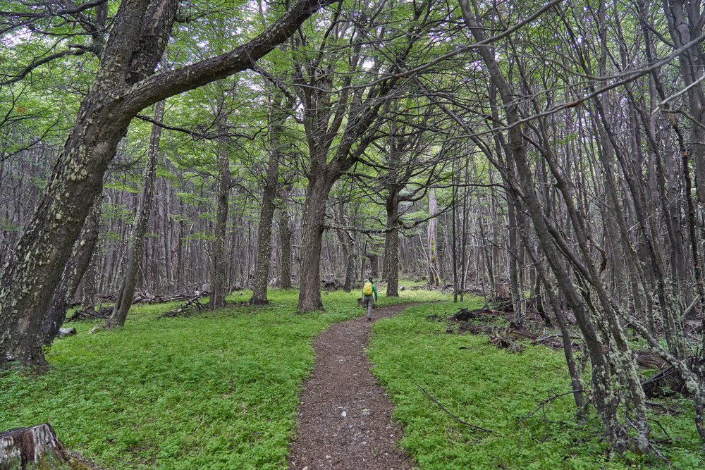 Cerro Castillo National Park