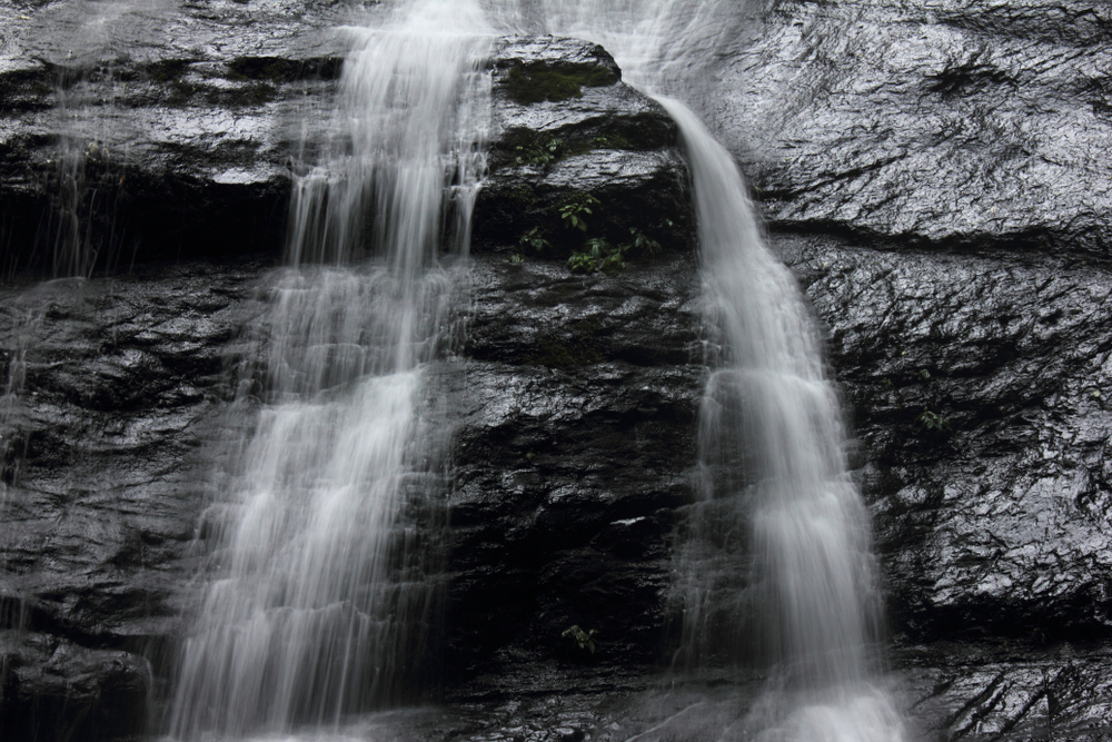 Cueva de los Guacharos National Park