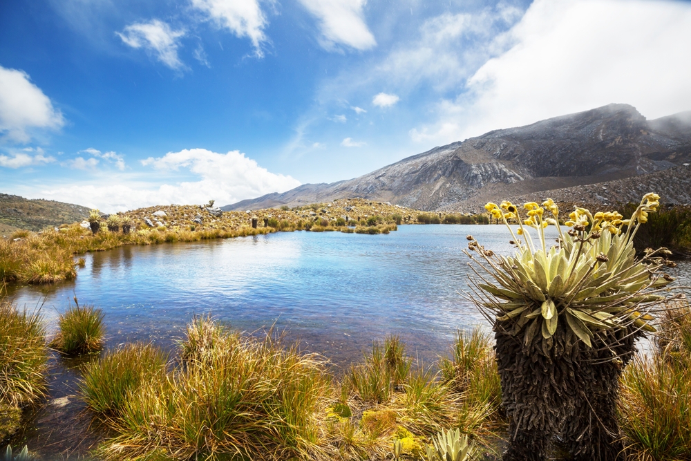 El Cocuy National Park