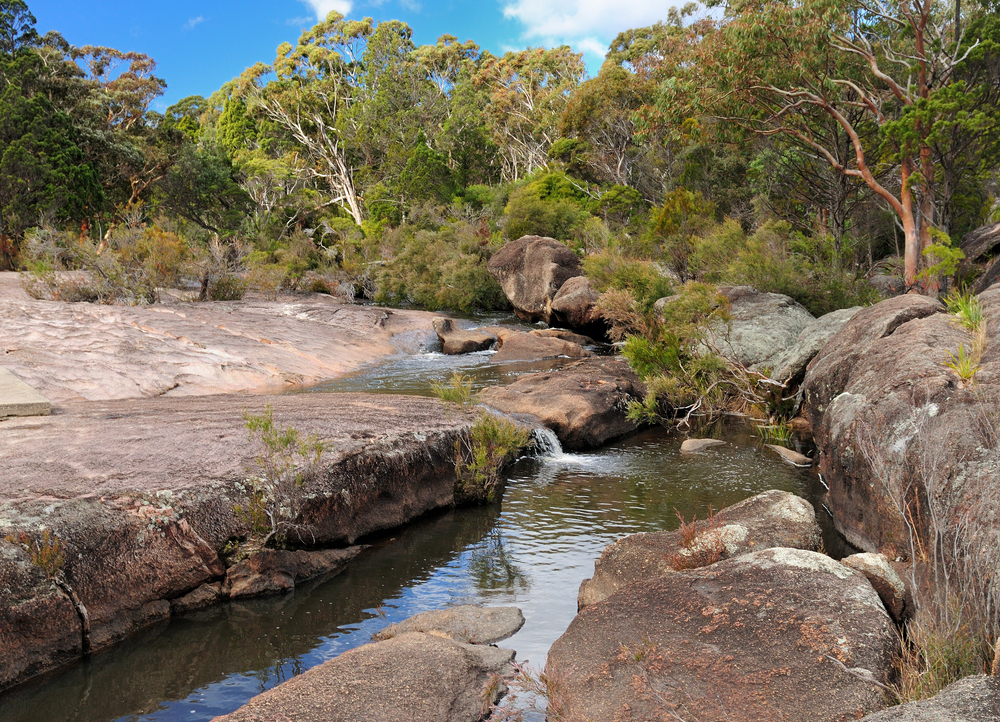 Girraween National Park