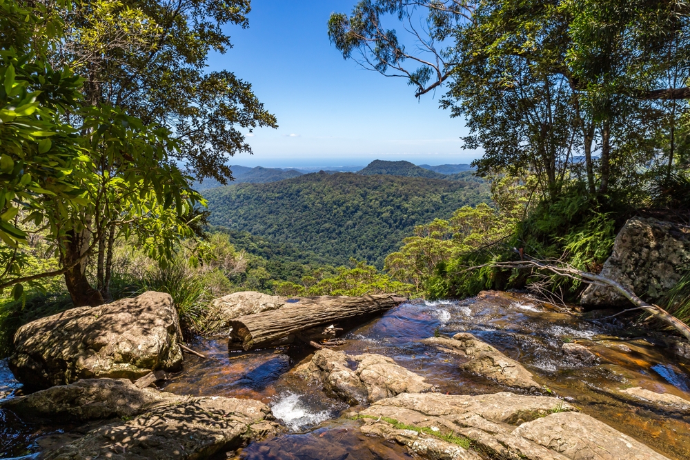 Lamington National Park