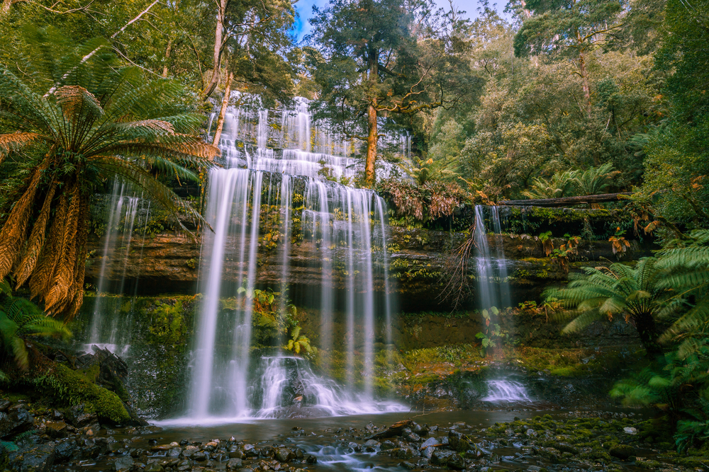 Mount Field National Park