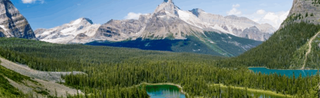 Canada Physician’s Prescribe National Parks to Patients