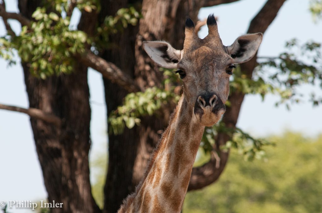Mosi-oa-Tunya National Park