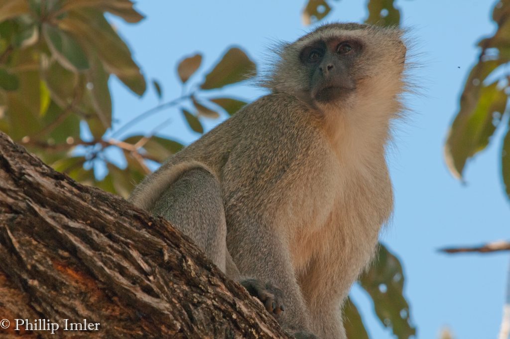 Mosi-oa-Tunya National Park