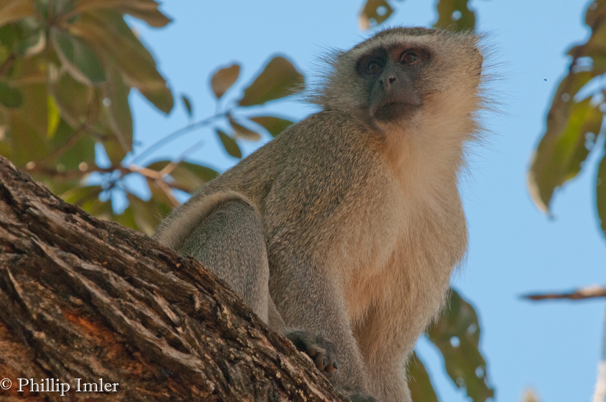 Mosi-oa-Tunya National Park