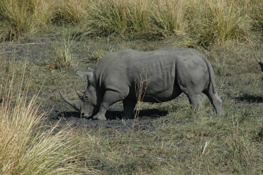 Mosi-oa-Tunya National Park