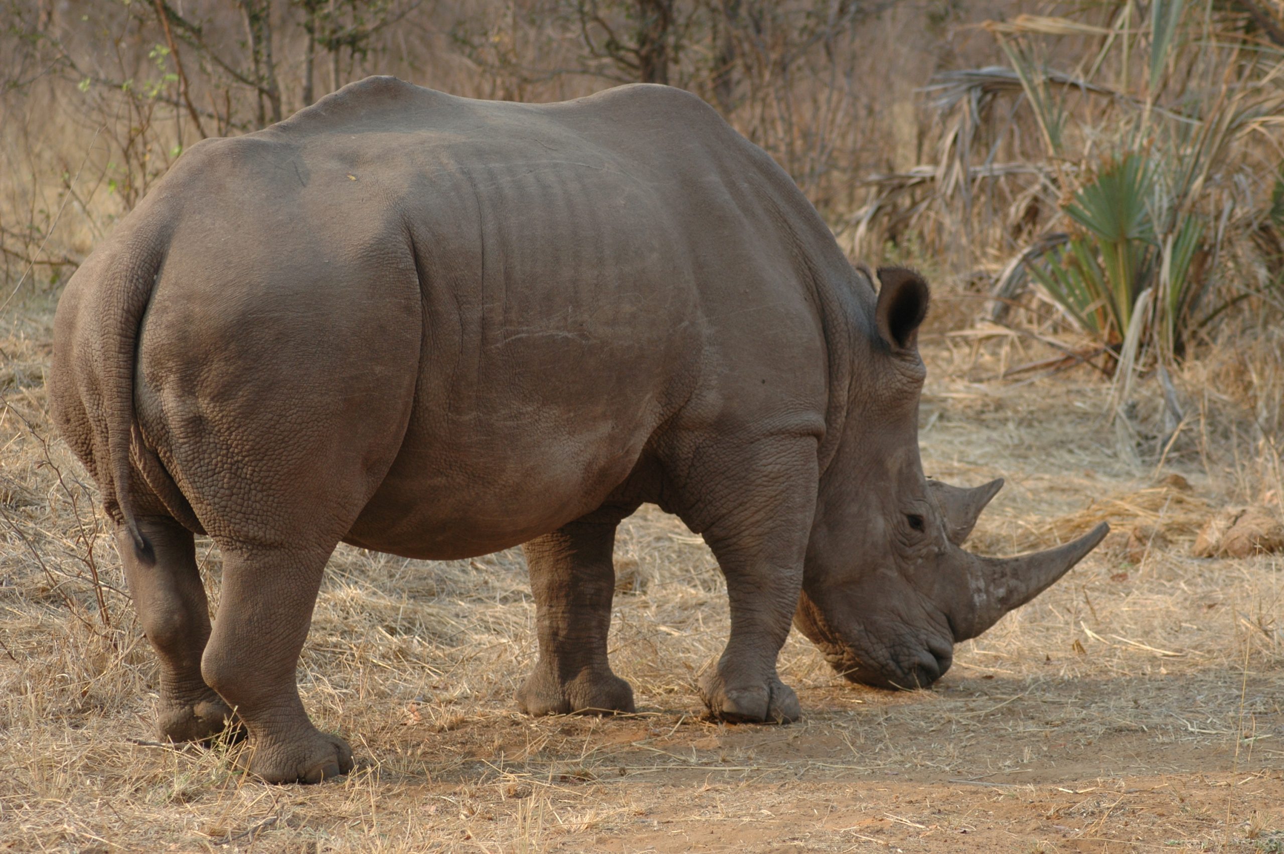 Mosi-oa-Tunya National Park