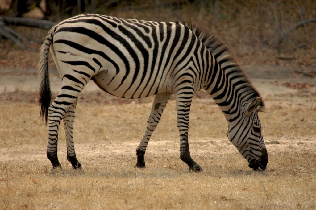 Mosi-oa-Tunya National Park