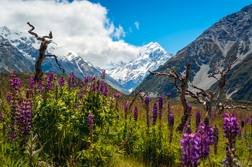 Aoraki/Mount Cook National Park