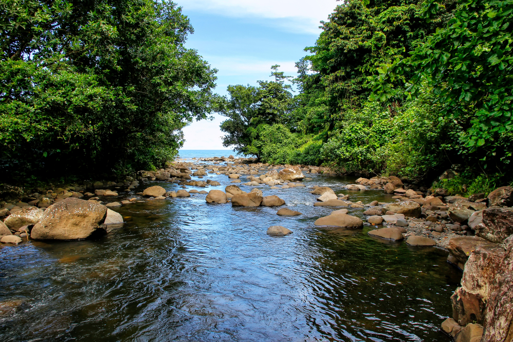 Bouma National Heritage Park