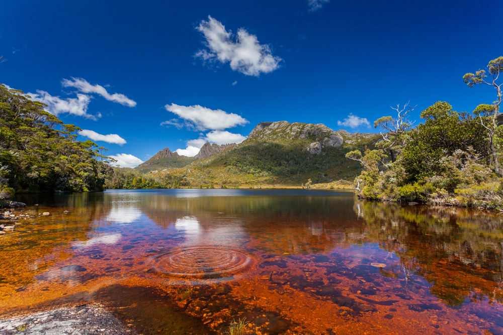 Cradle Mountain-Lake St. Clair
