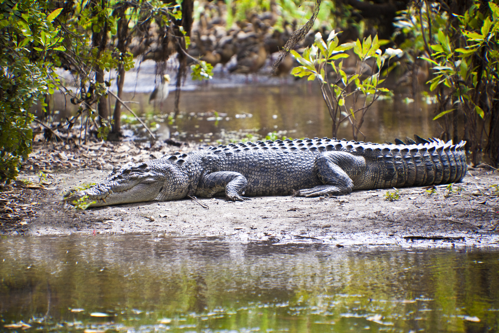 Kakadu National Park