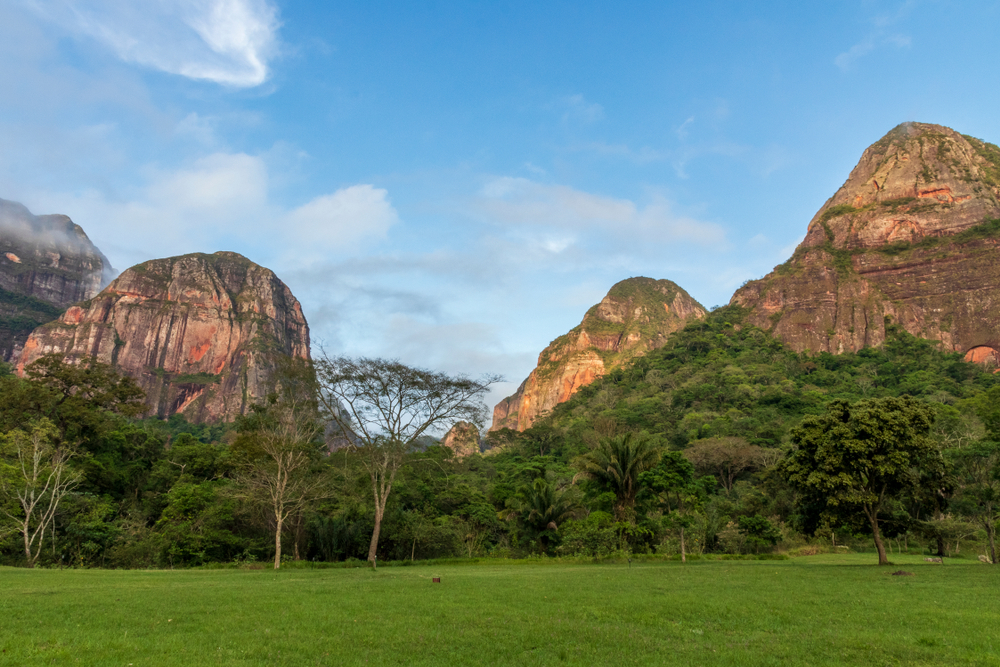 Amboro National Park