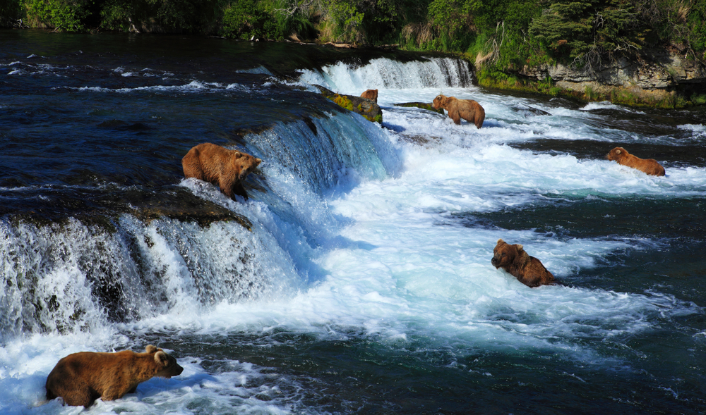 Katmai National Park
