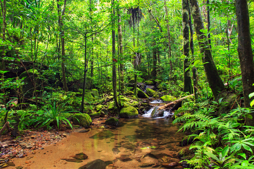 Masoala National Park