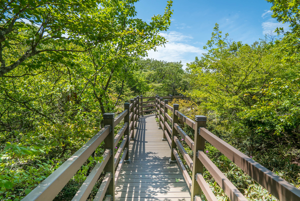 Hallasan National Park