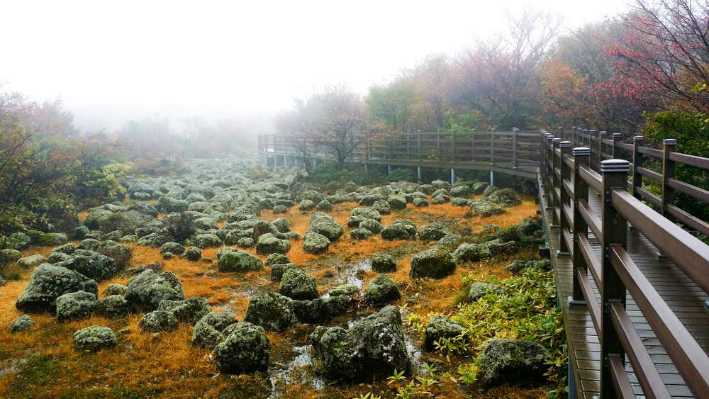 Hallasan National Park