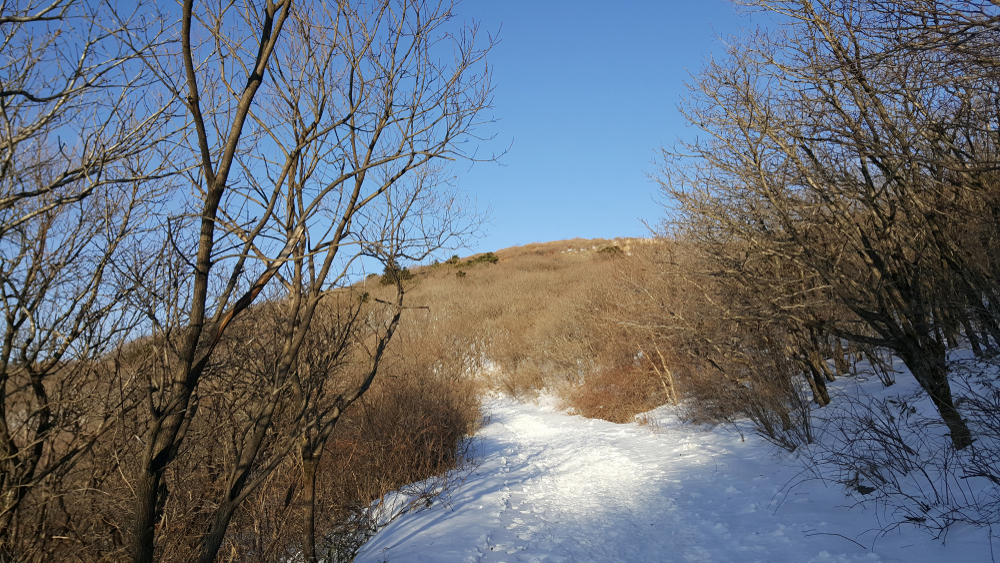 Jirisan National Park