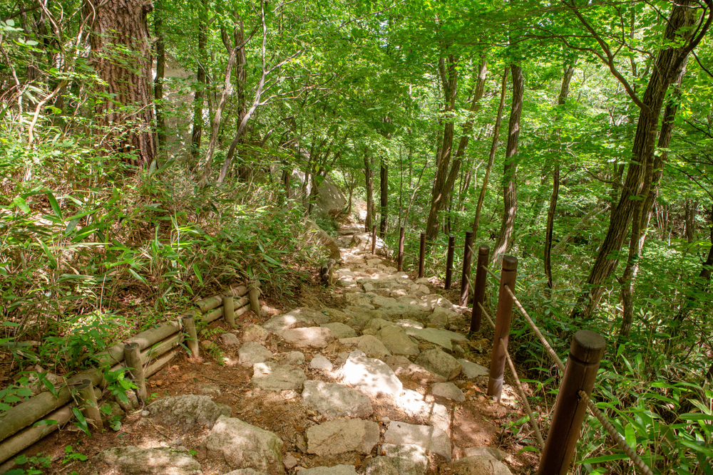 Songnisan National Park