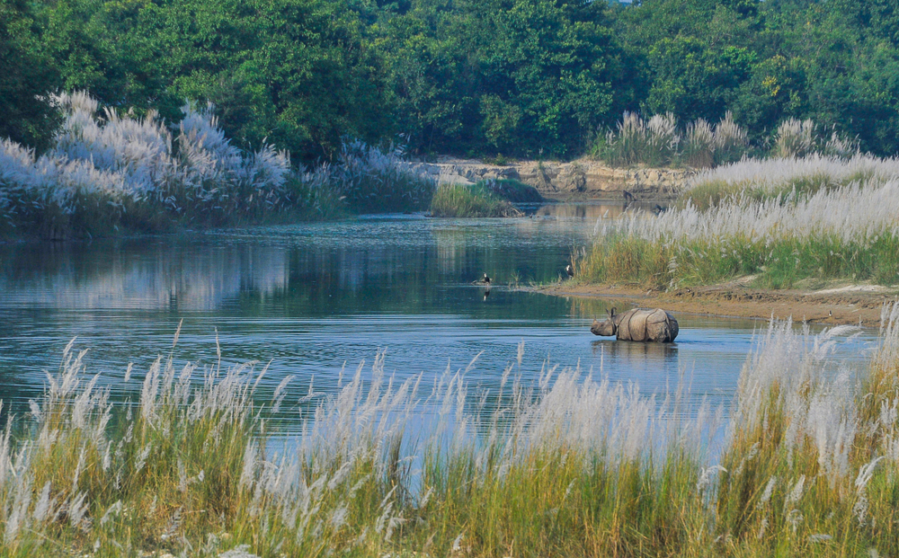 Bardiya National Park